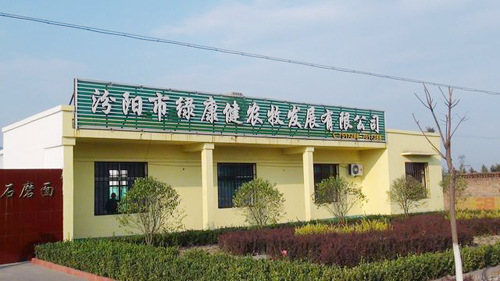 汾陽(yáng)市石磨面粉機(jī)組